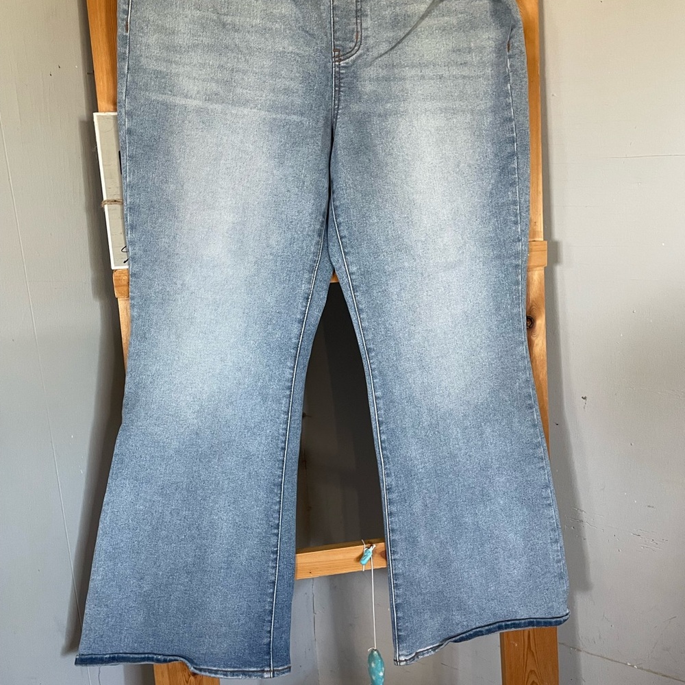 Terra & Sky Light Blue Flare Jeans